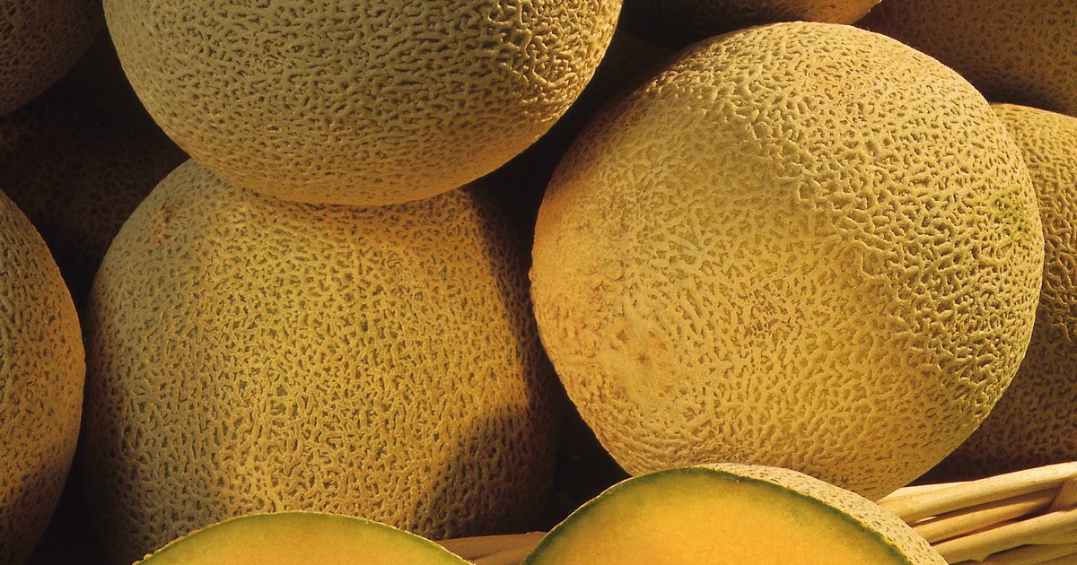 Allergieën voor Meloen