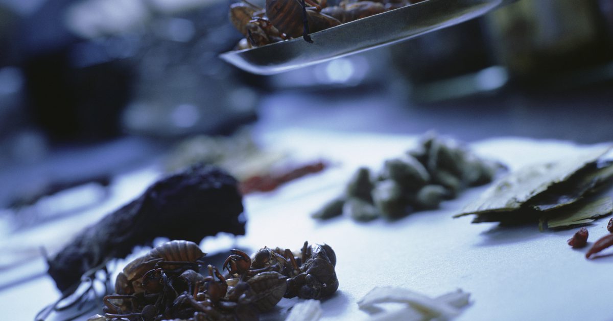 Zijn de graanalcohollevels in kruidentincturen gevaarlijk?