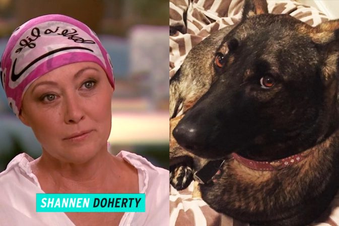 Bester Freund, in der Tat! Shannen Doherty sagt, ihr Hund habe zuerst ihren Krebs entdeckt