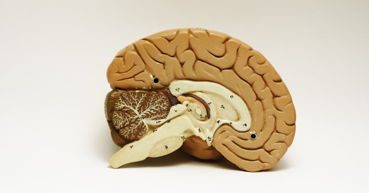 Příznaky atrofie mozku
