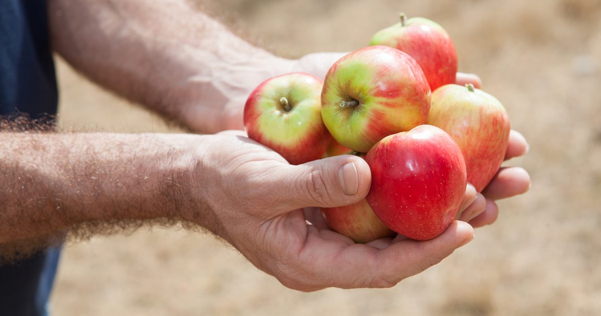 Kan diabetiker äta äpplen?