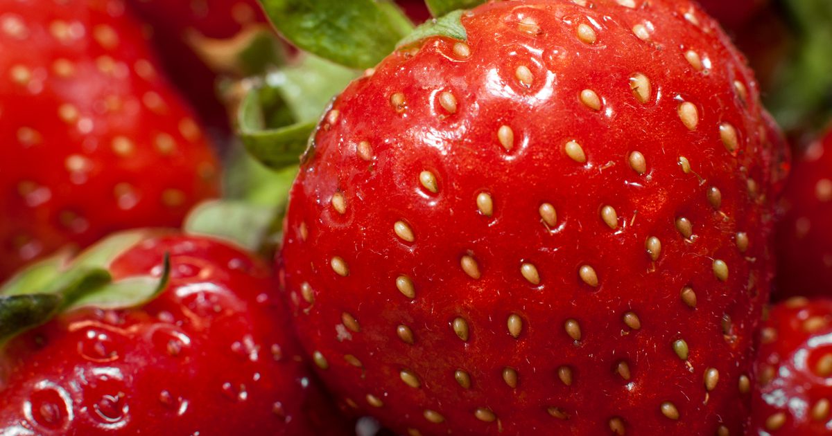 Kan jordbærfrø oppheve magen min?