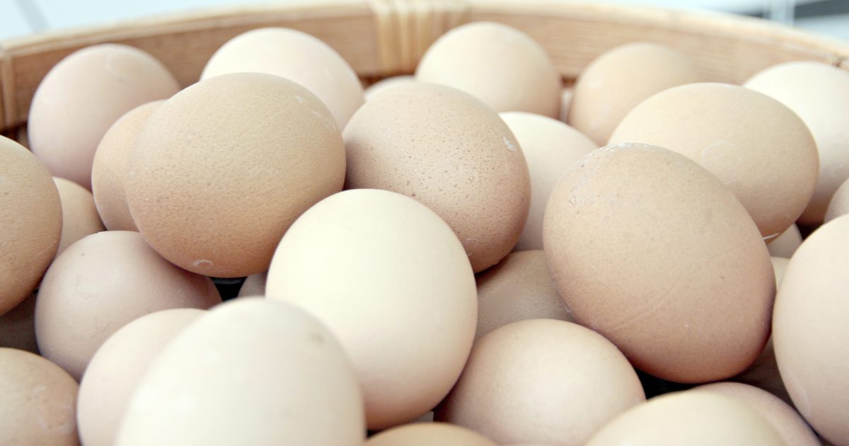 Kan du äta rått ägg medan du ammar?