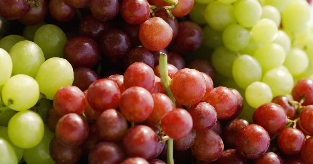 Czy winogrona pomagają w trawieniu?