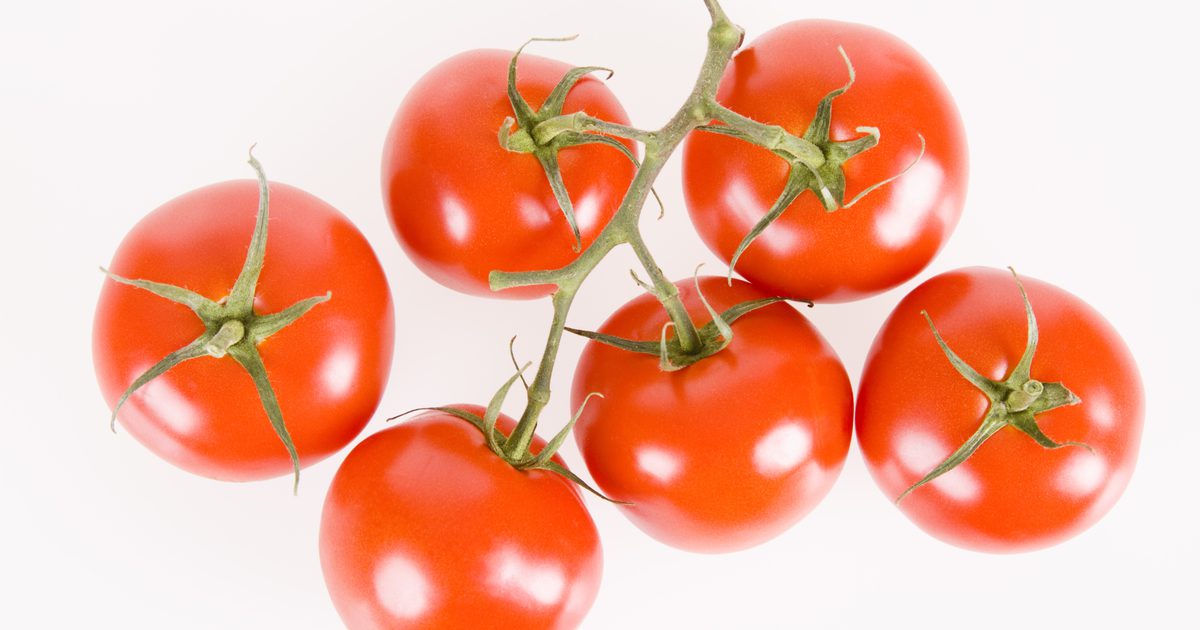 Øker tomatene eksem?