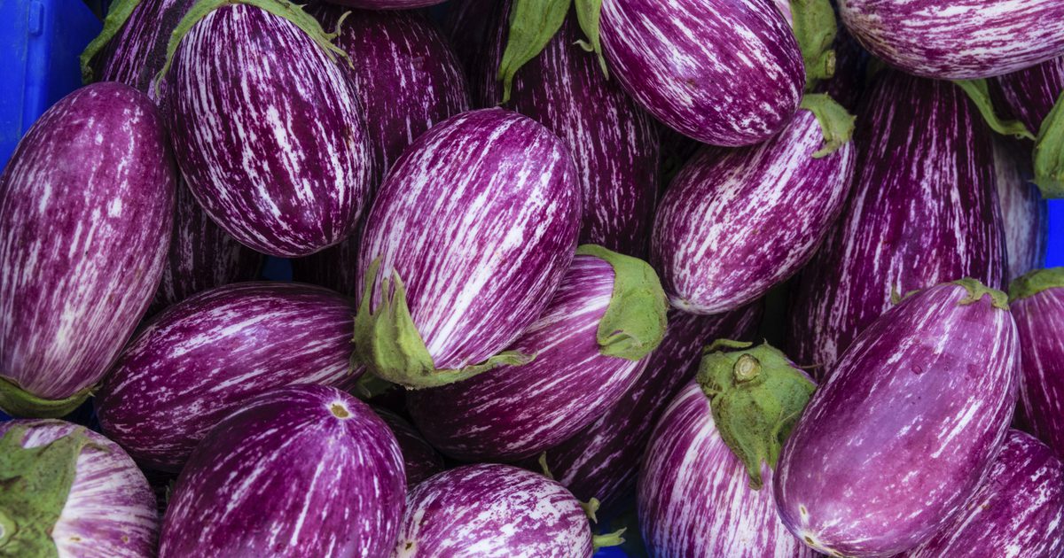 Har eggplant lavere kolesterol?
