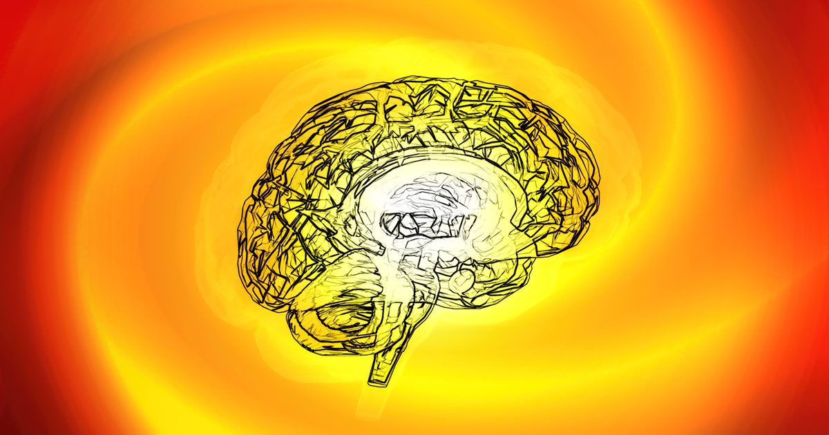 Die Auswirkungen von Dopamin auf das Gehirn