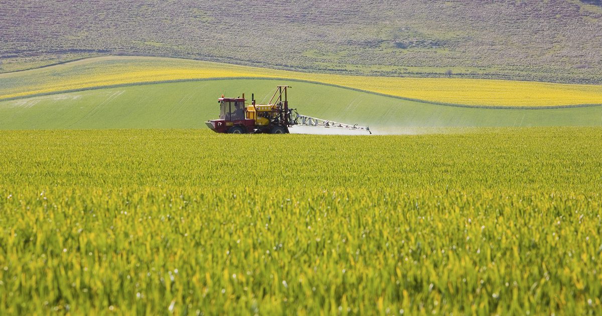 Účinky pesticidů v potravinách