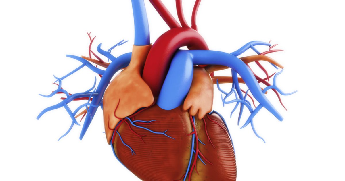 Forhøyede hjerteenzymer og troponin