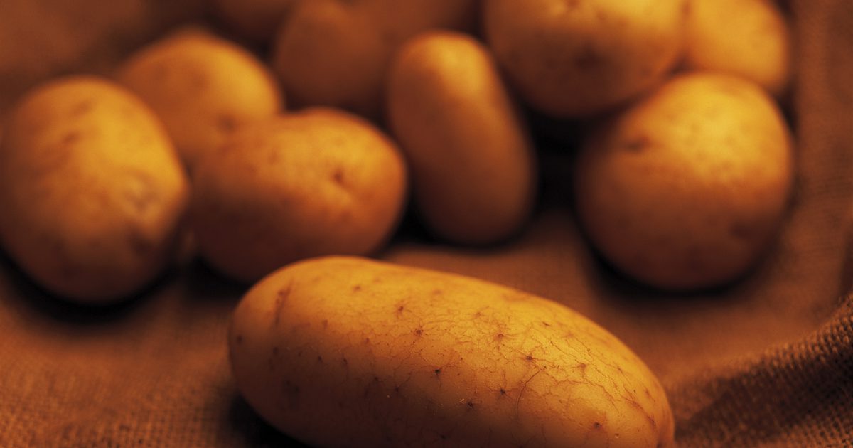 Den glykæmiske indeks for bagt kartofler Vs. Kogte kartofler