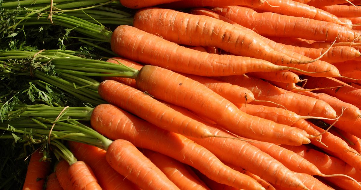 Der glykämische Index von Karotten