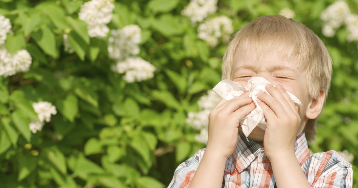 Hem Remedies för ett barns sinusinfektion
