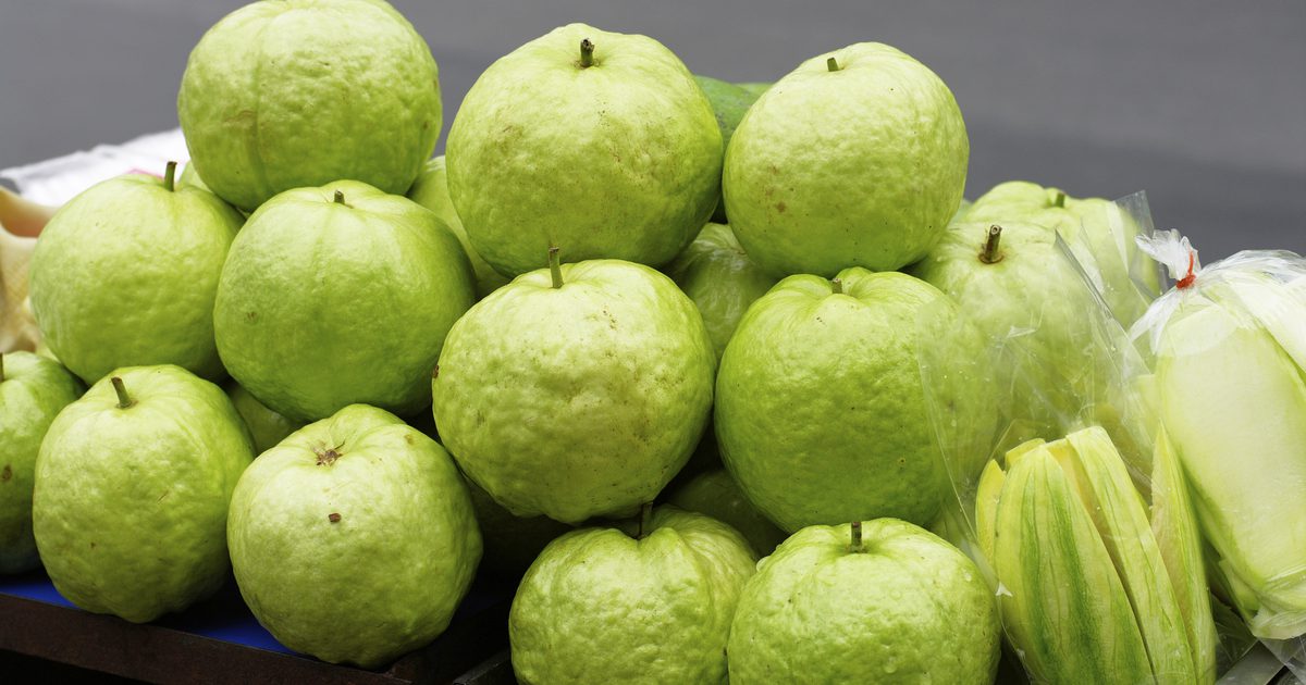 كيف تؤثر الجوافة على سكر الدم؟