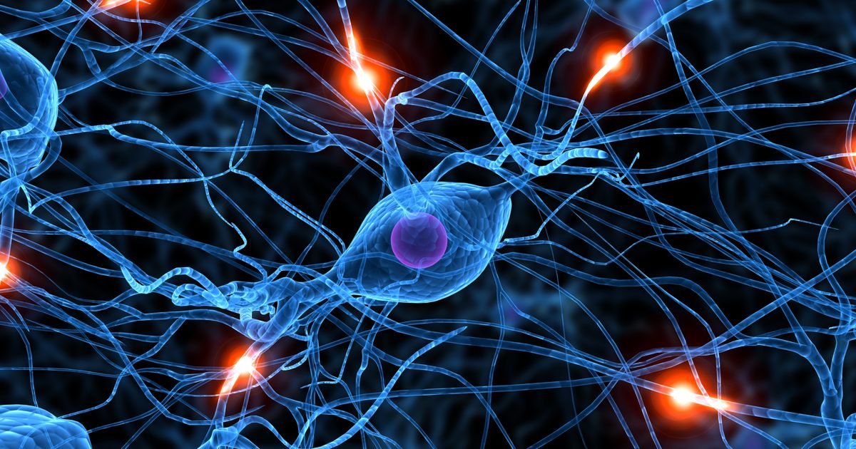 कैसे डोपामाइन न्यूरोट्रांसमीटर व्यवहार को प्रभावित करते हैं