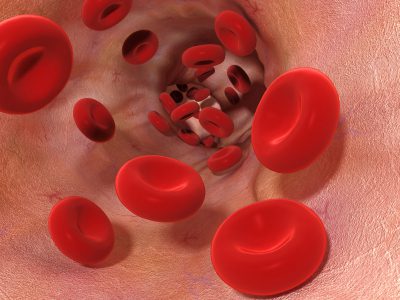 Kako povečati koncentracijo hemoglobina