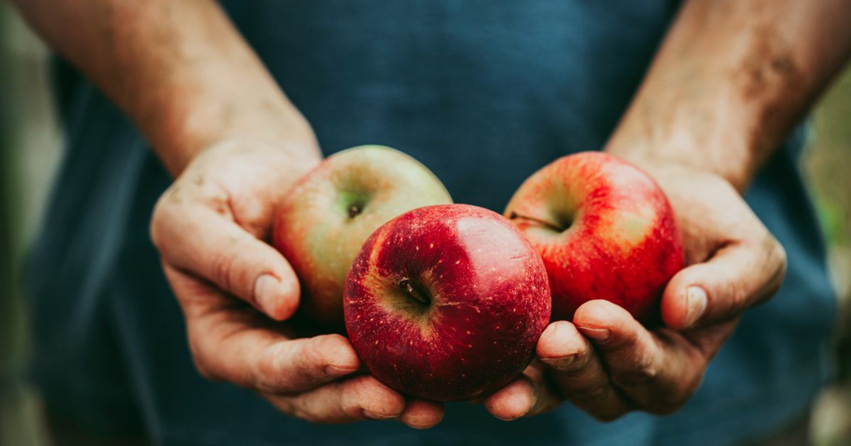 Hoe zure reflux met appels te behandelen