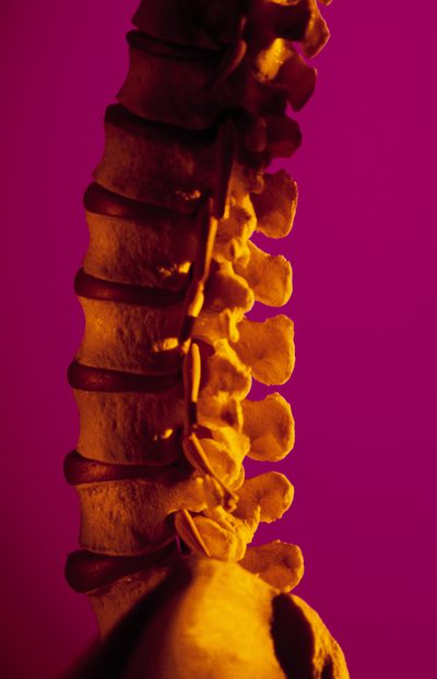 Smärta i nedre delen av ryggen, höfterna och benen