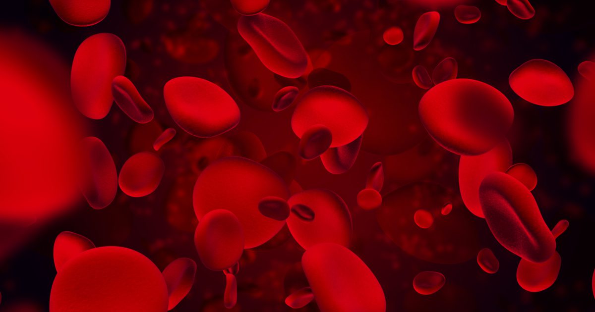 الفيزيولوجيا المرضية لفقر الدم الخبيث وفقر الدم بعوز الحديد