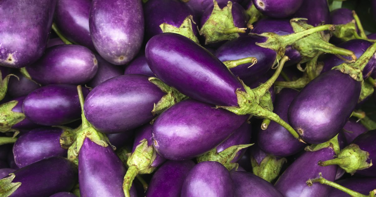 Purple Lebensmittel Liste