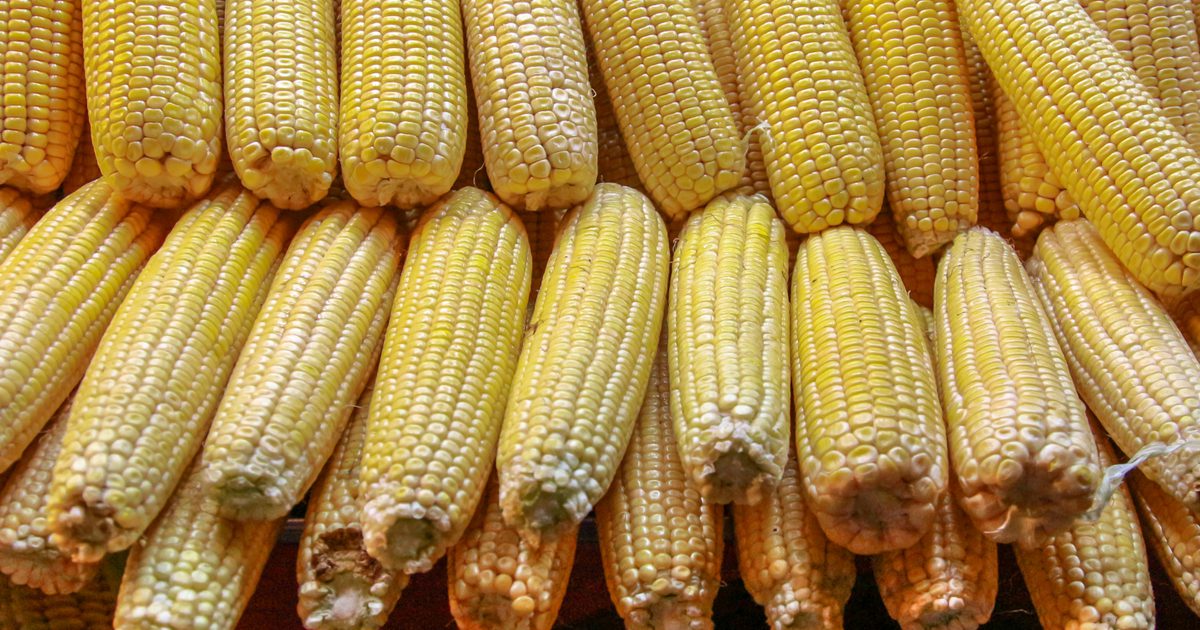Отношения между кукурузным крахмалом и глюкозой