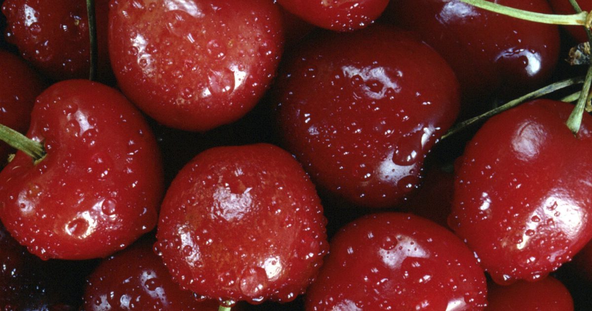 Tecken och symptom på allergi mot körsbär