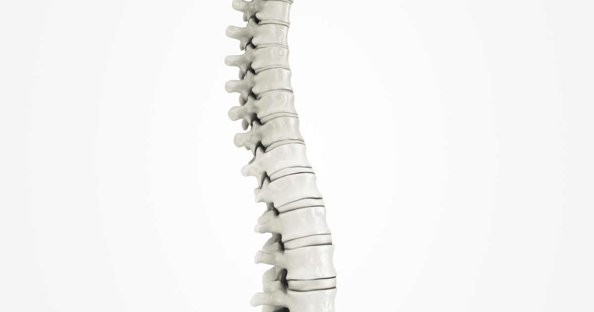 Thoracic Spine Degeneration Symptom