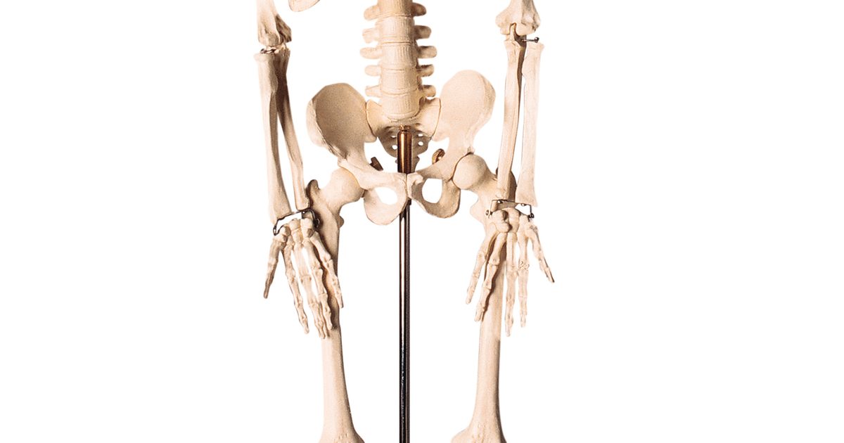 ما هي أسباب كثافة العظام العالية؟