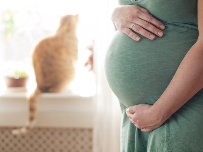 Was sind die Auswirkungen einer UTI in der Schwangerschaft?