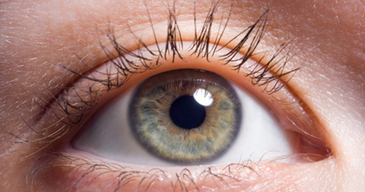 Hva er de tre hovedlagene i øyet ditt?