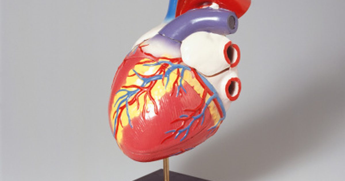 Kaj povzroča rahlo povečano srce?