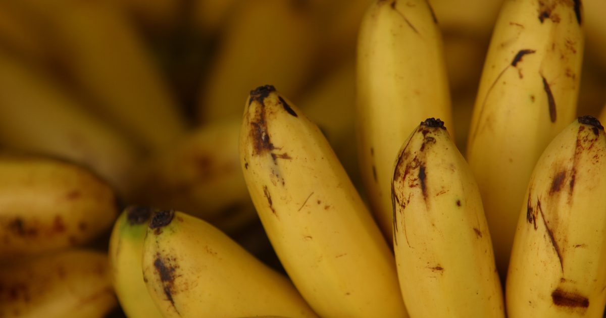 Hvorfor forårsager bananer en mave ache?