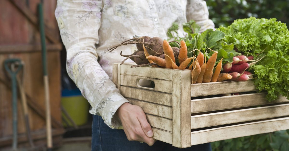 Hvorfor koster frukt og grønnsaker årsak til diaré?