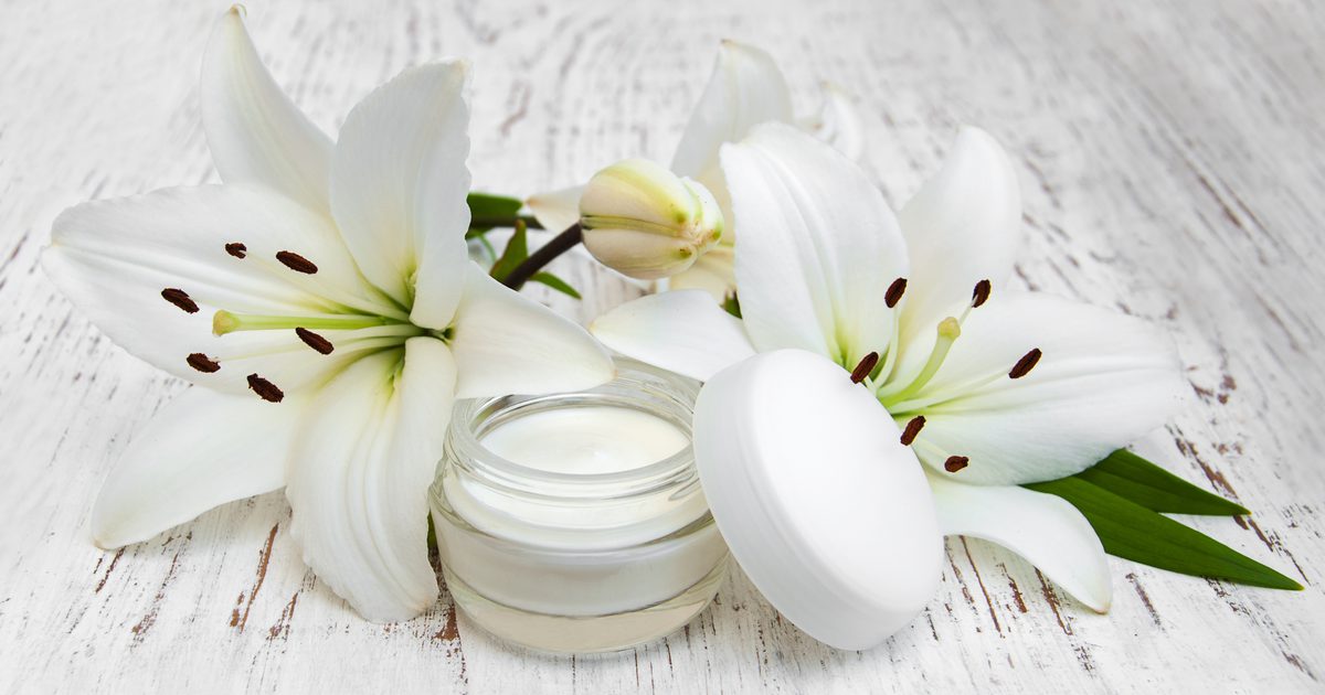 The Best Wrinkle Cream Products Worldwide