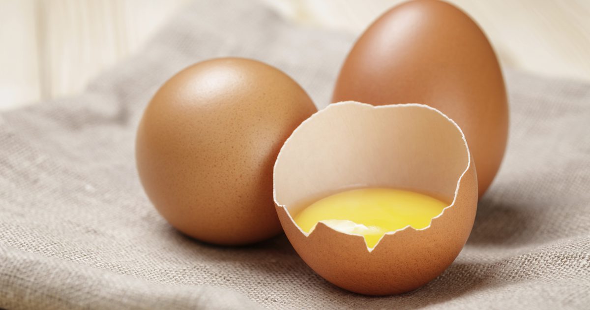 علاج صفار البيض