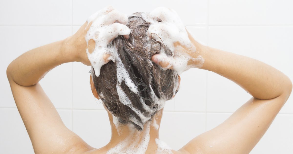 Seznam složek v šampónu