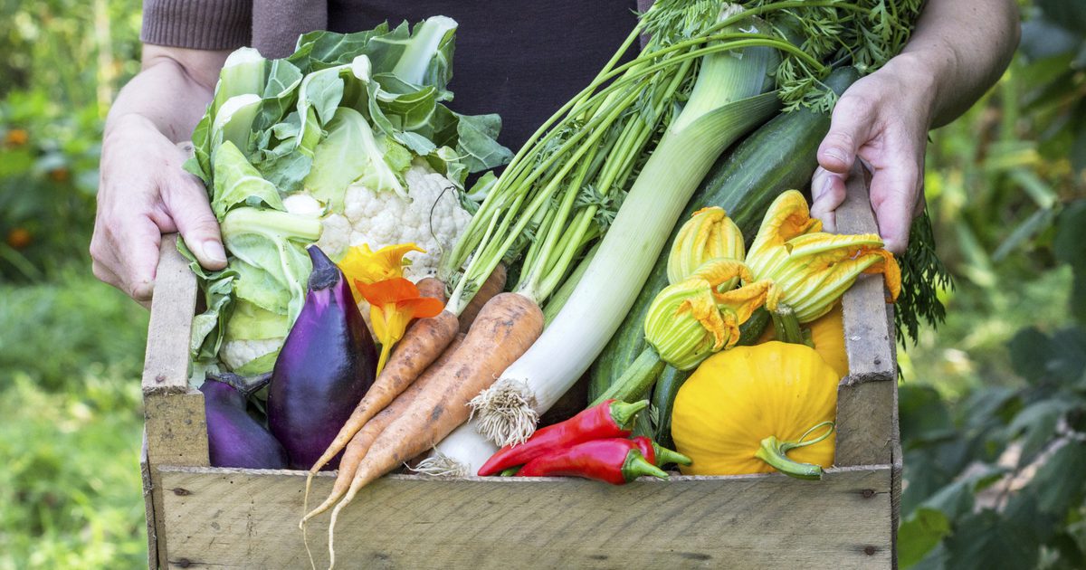 Fordelene og ulemper med friske grønnsaker