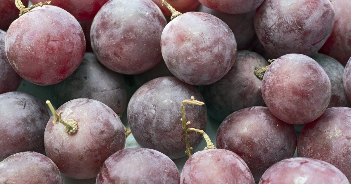 Allergie voor rode druiven