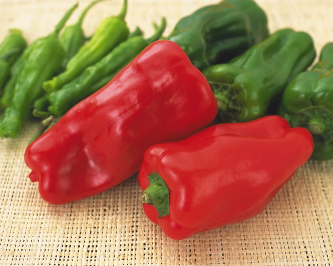 Mengde karbohydrater i Red Bell Pepper