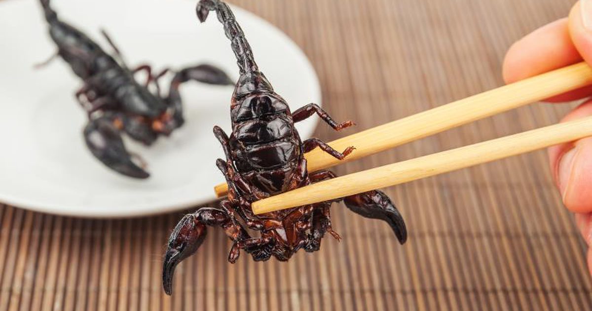 Angelina Jolie spiser Tarantulas og Scorpions. Skulle du?