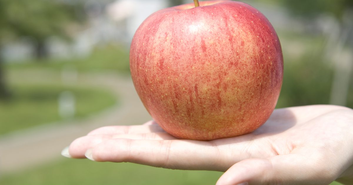 Äpple & morot Diet