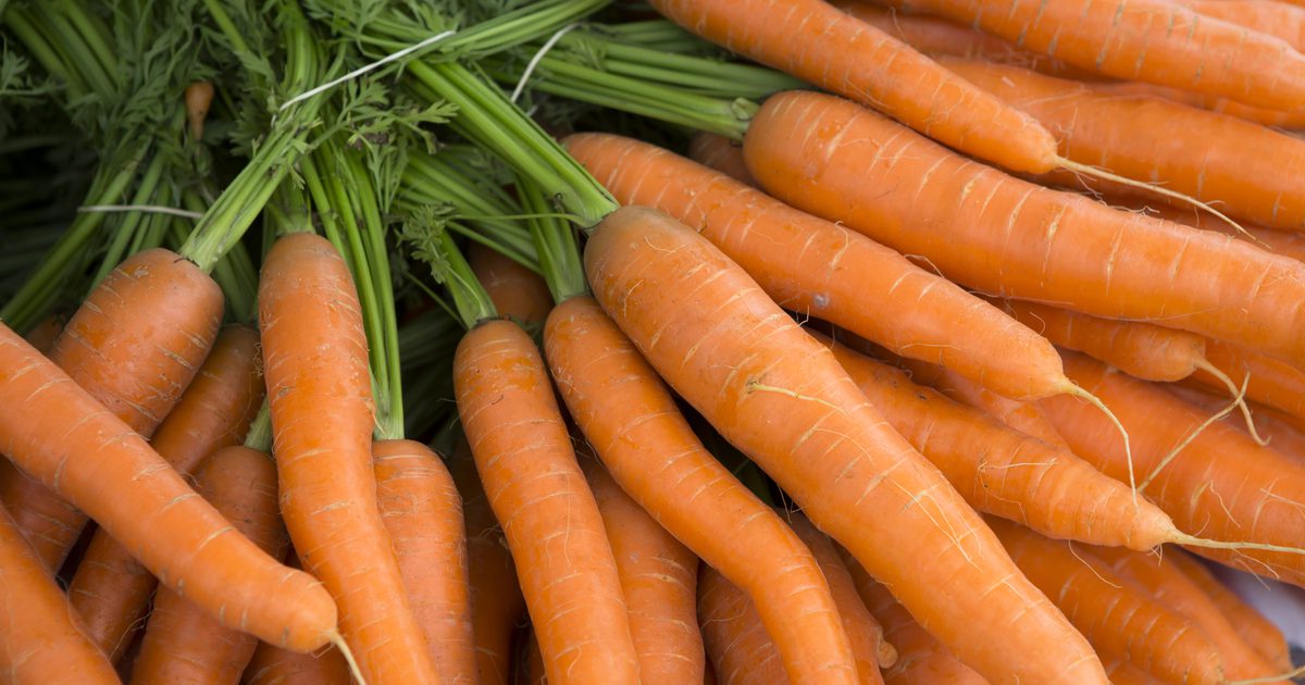 Морковете измръзват?