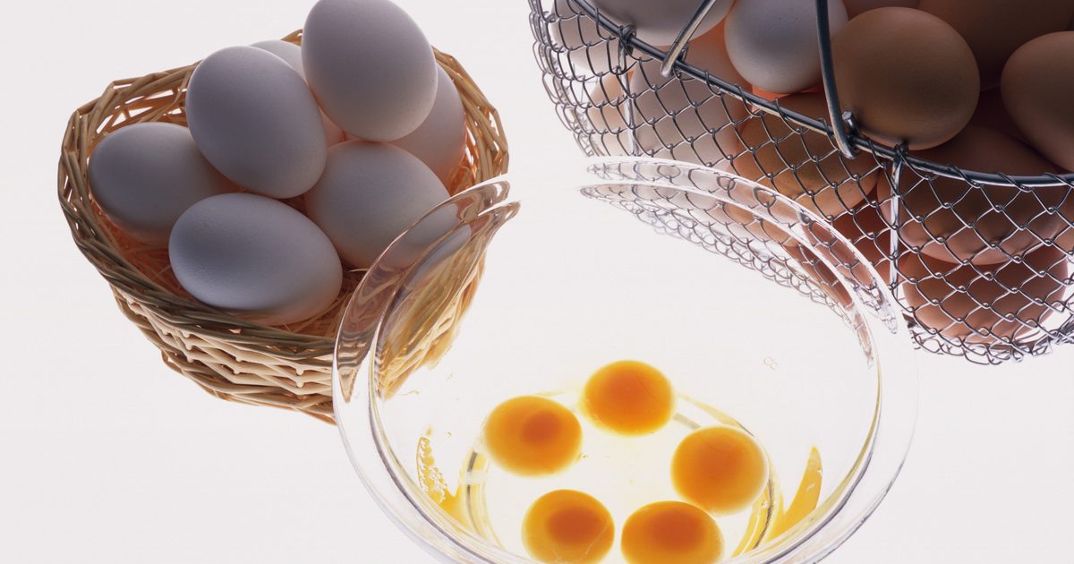 Имате яйца бели по-добре от цели яйца за обучение по тегло?