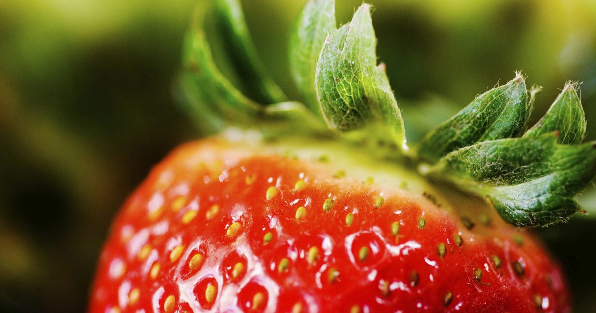 Er fødevarer med frø dårlig for diverticulitis?