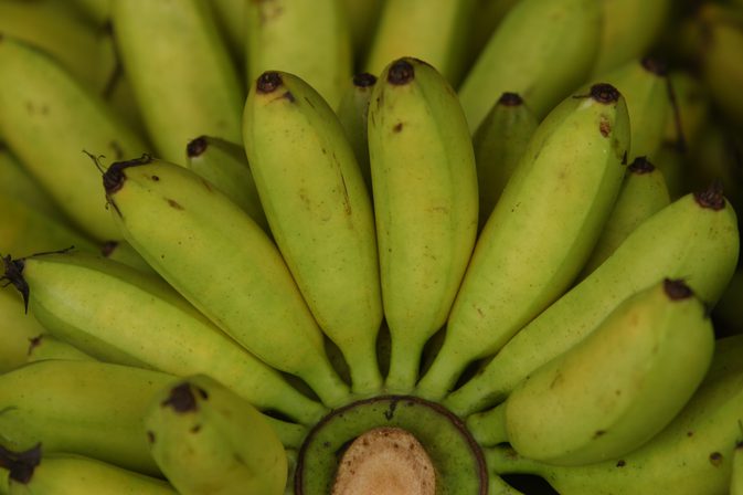 هل يعتبر الموز الأخضر أفضل بالنسبة لك؟