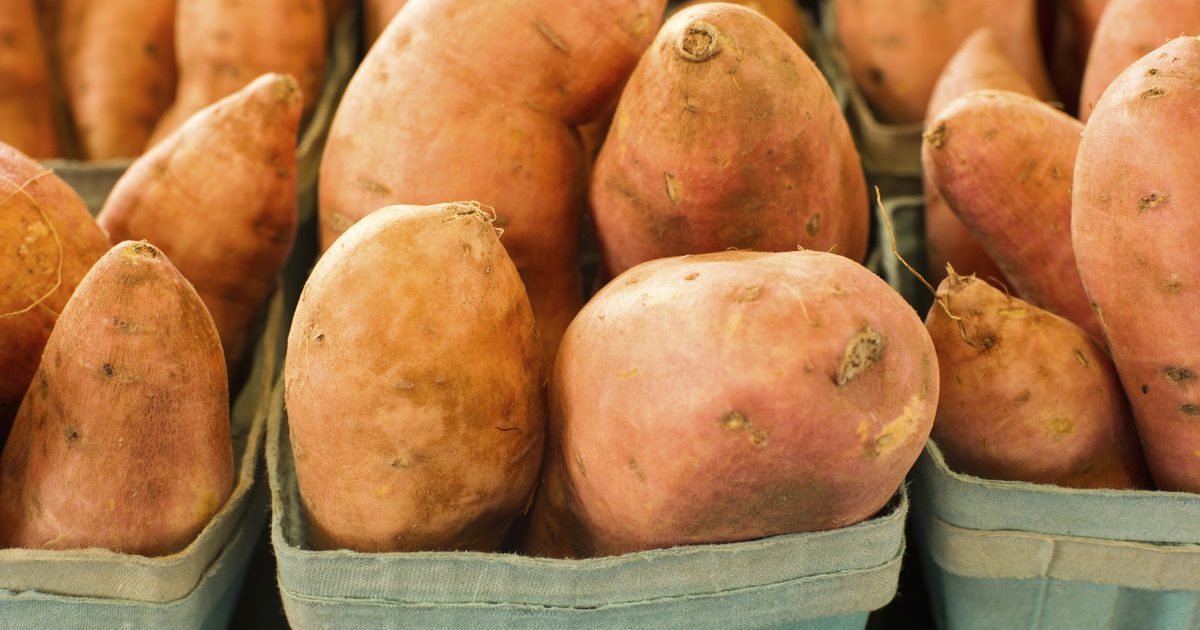 Er kartofler gode carbs at spise før en maraton?