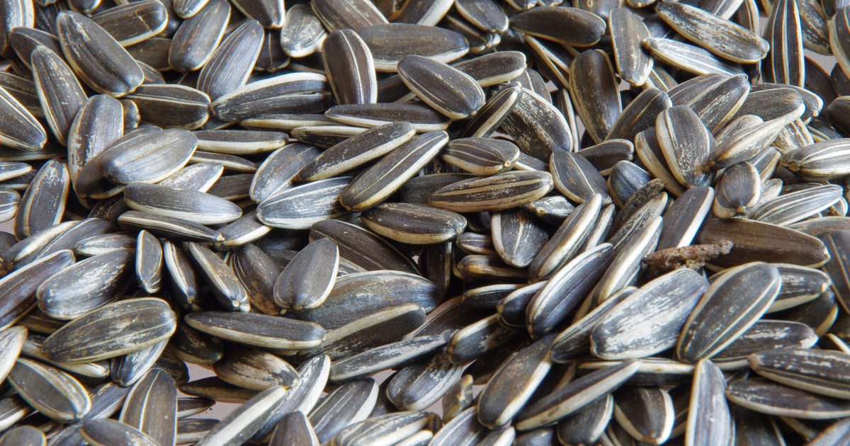 So sončnična semena ogljikovih hidratov?