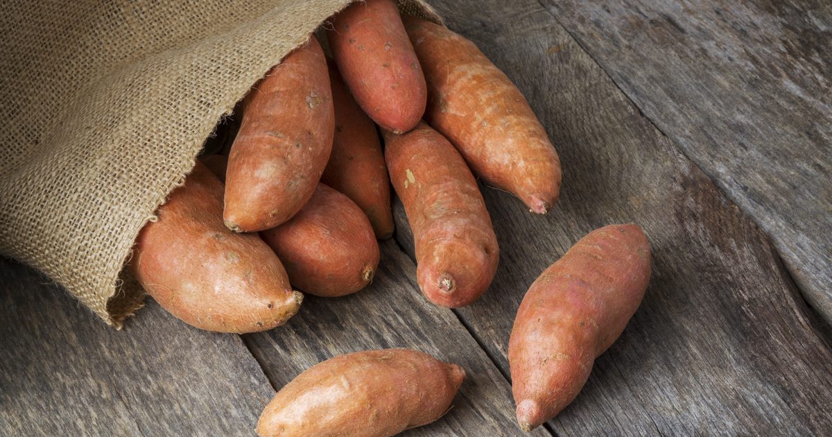 Er søde kartofler godt til gravide kvinder?
