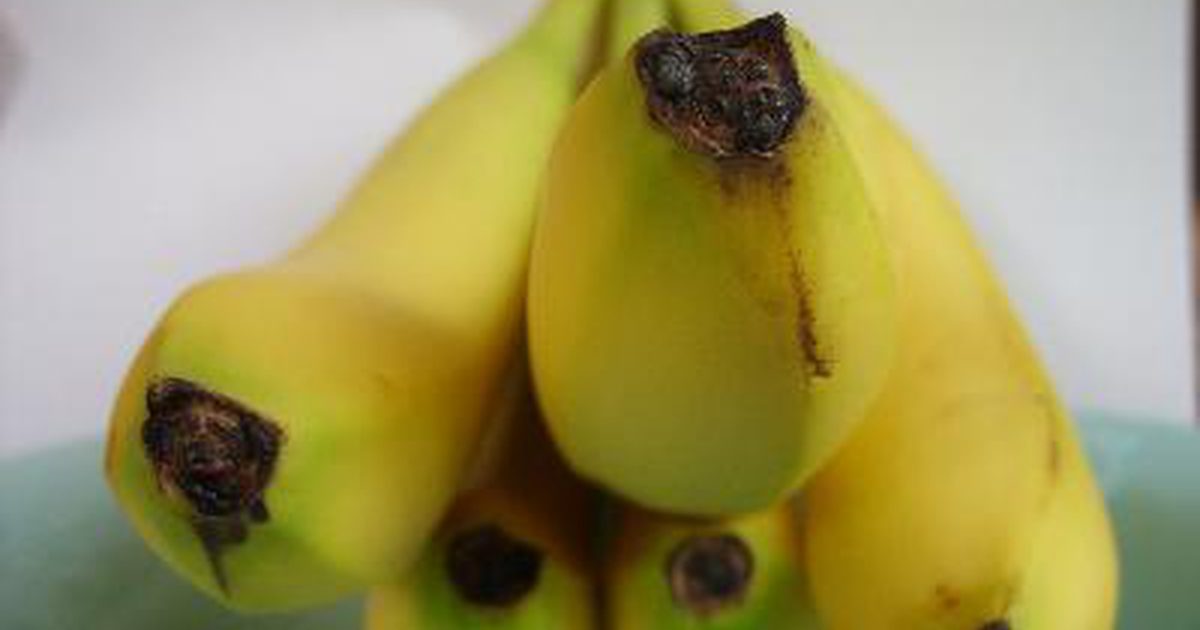 Banány a kyselina listová