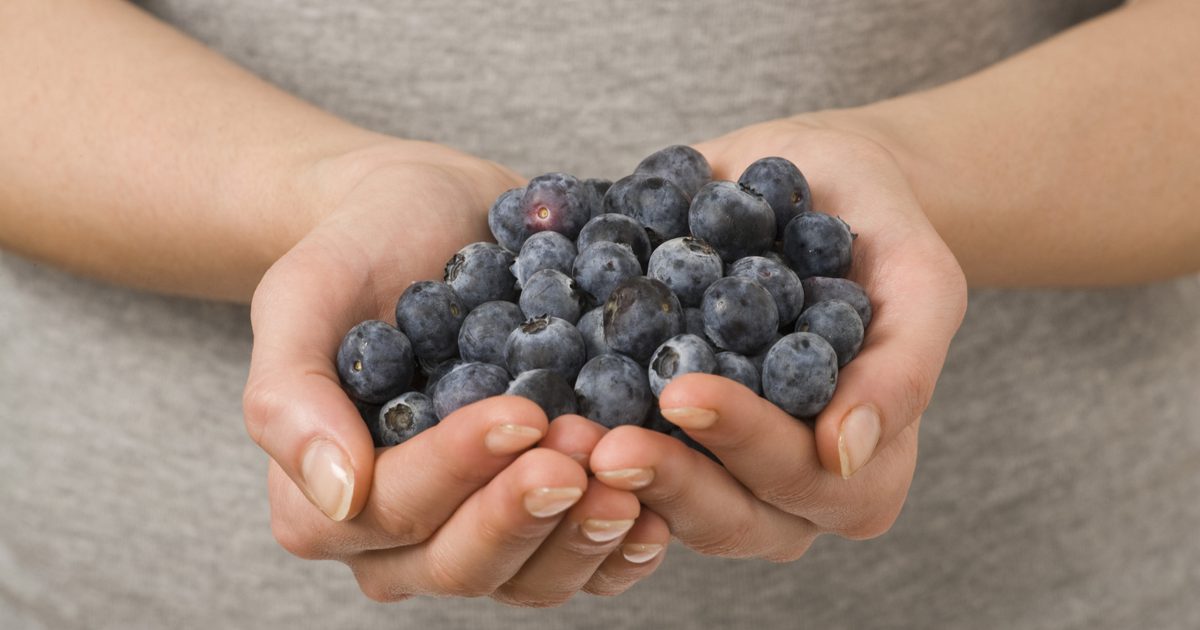 Fördelarna med Blueberry Supplements