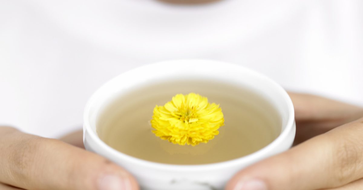 فوائد شرب الشاي المر القرع